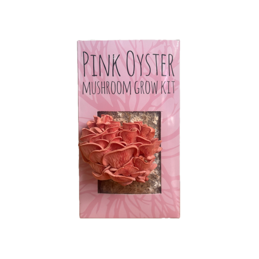 Pink Oyster Mushroom Kit